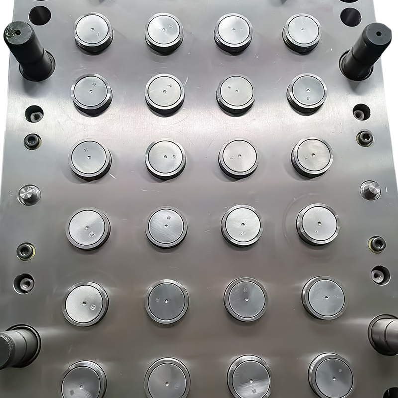 Multiple specifications high precision Bottle Cap Mold